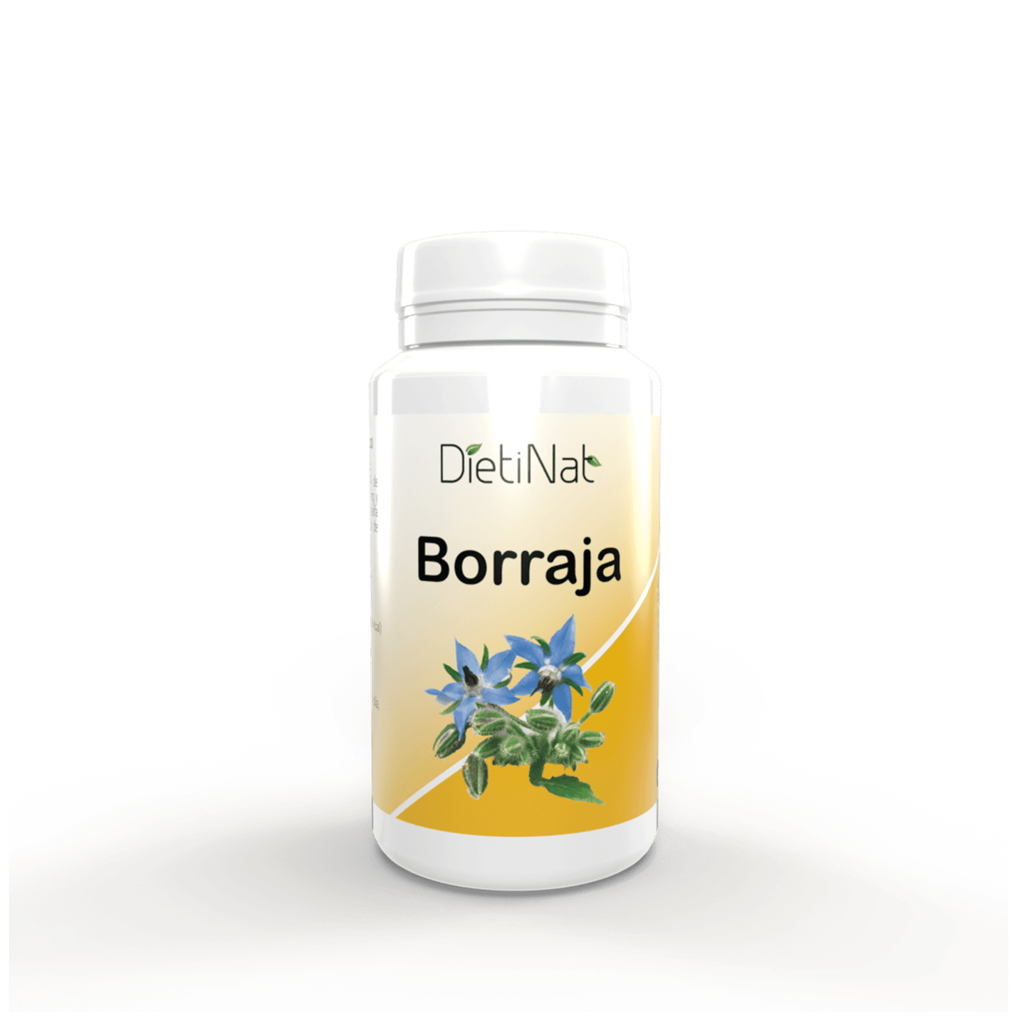 Borraja