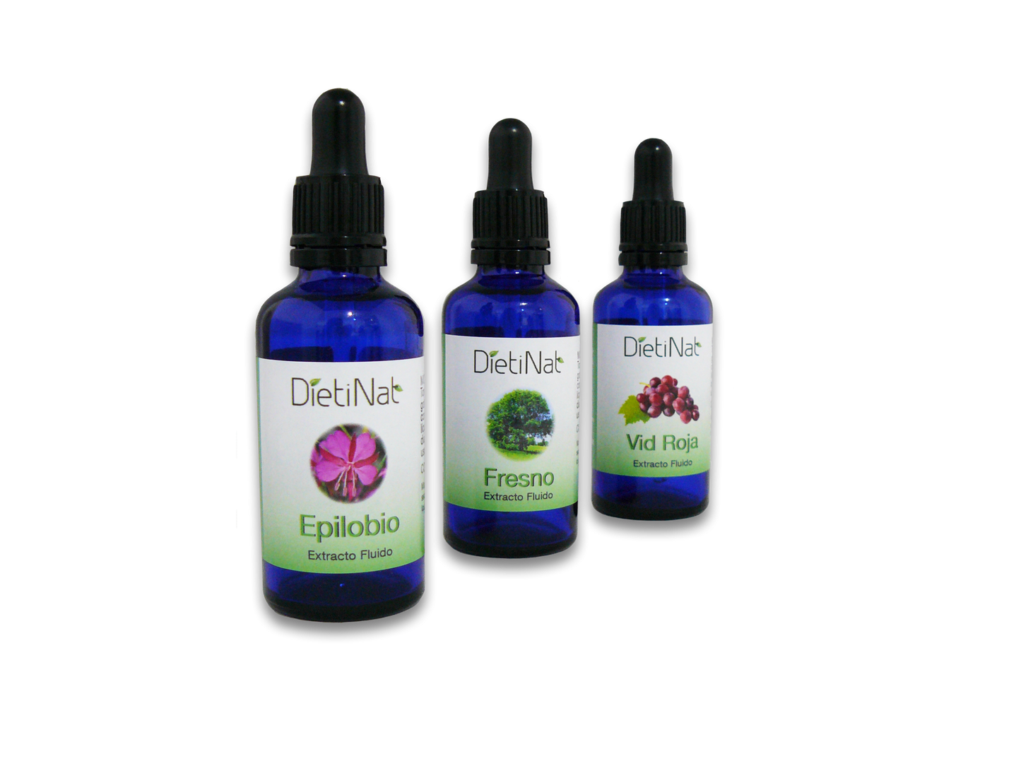 E.F. Simples | listado general