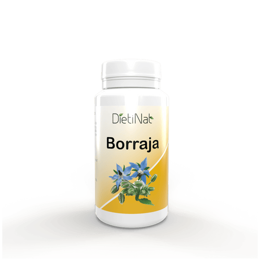 Borraja