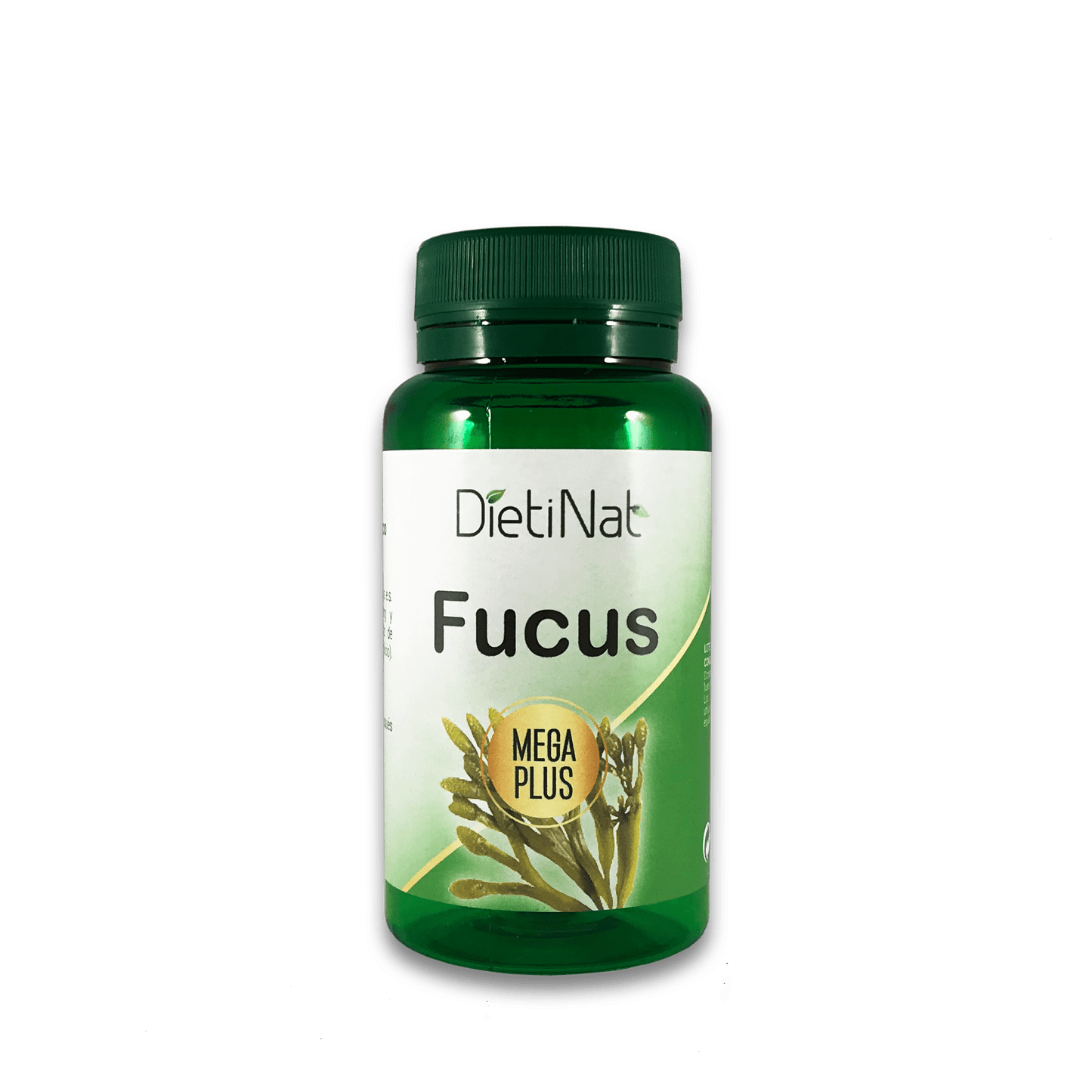 Fucus | MEGAPLUS