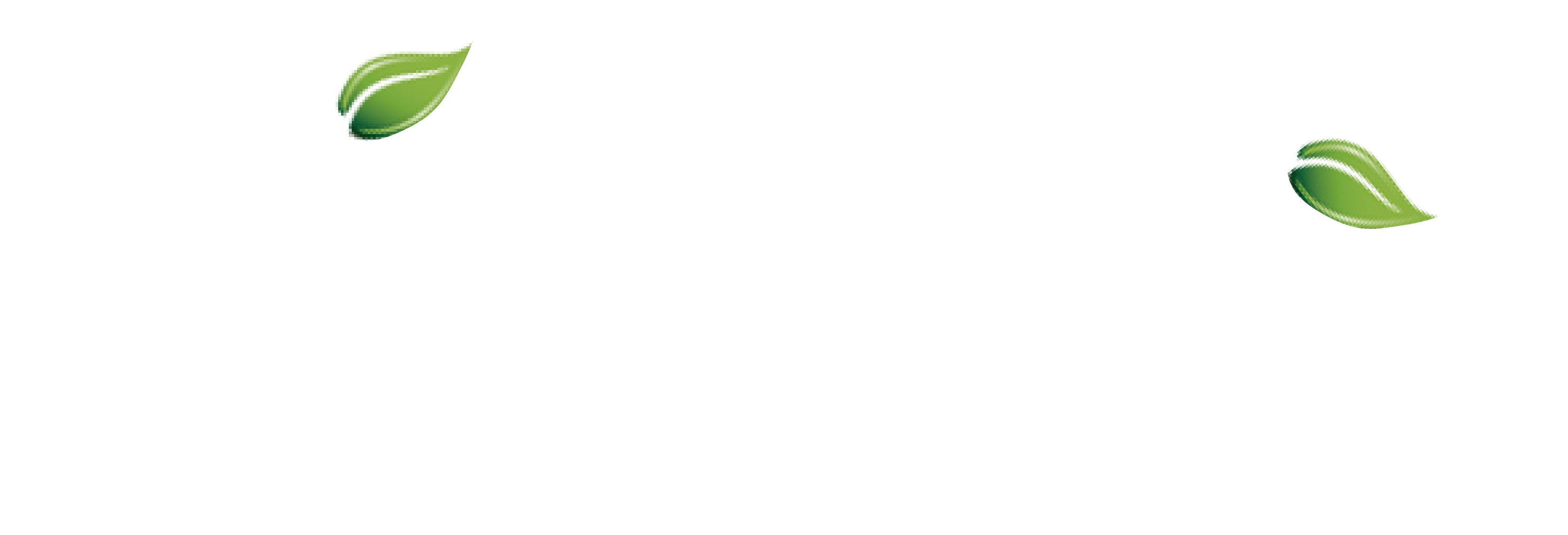 Dietinat logo